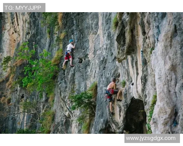 上海攀岩队的整体压制现象及其对攀岩热点的影响分析