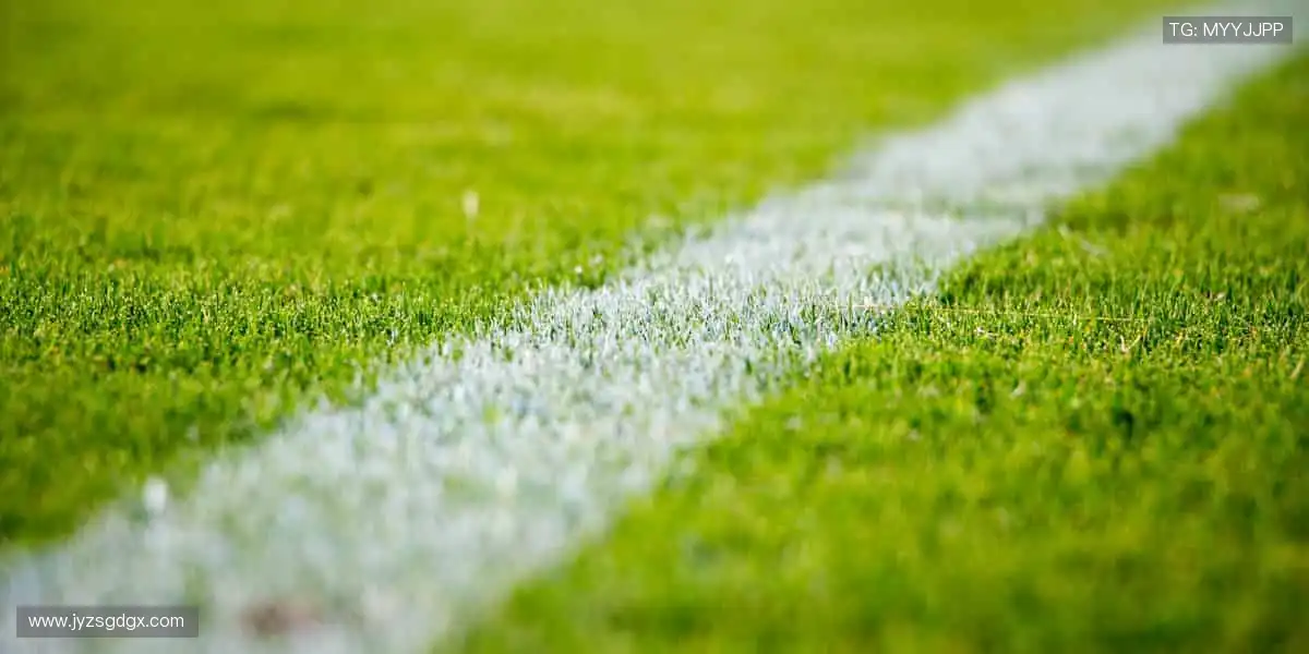 🎾专业周边,为热爱注入灵魂色彩!